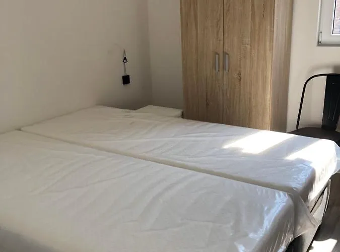 Kemping New Dahlia *