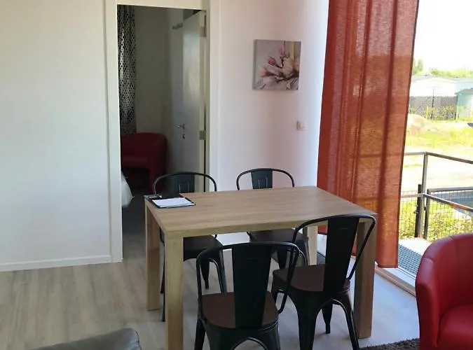 New Dahlia Kemping *